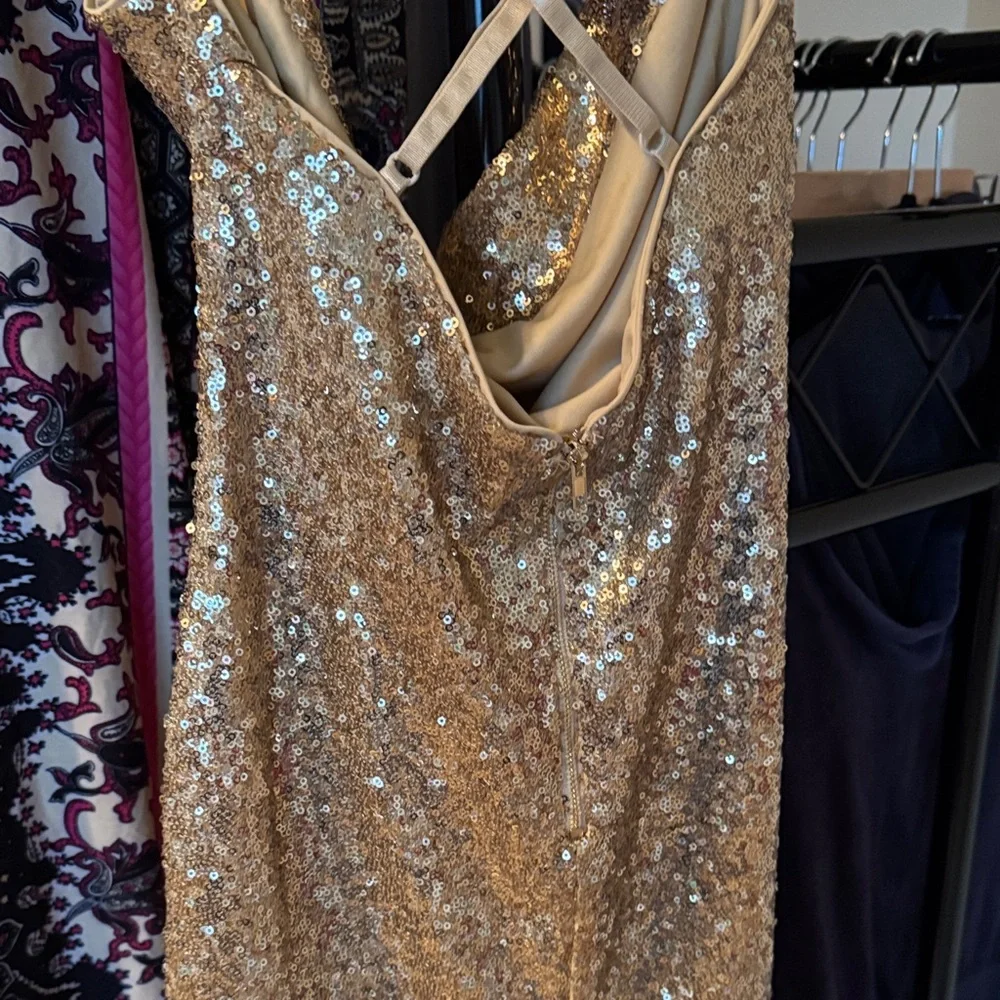 Gold Sequin Dress - Picture 6 of 9